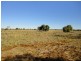Nyngan NSW 2825
