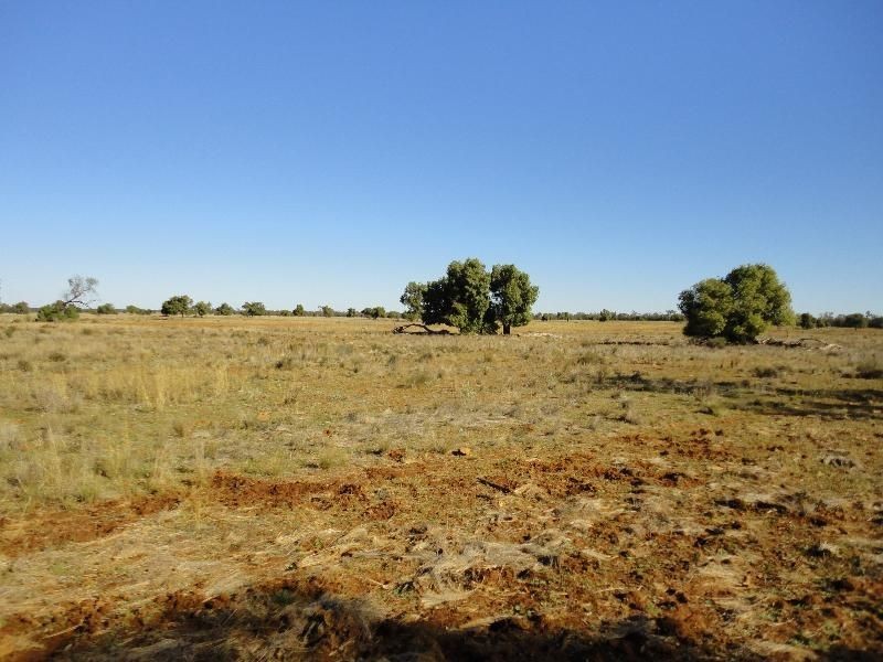 Nyngan NSW 2825