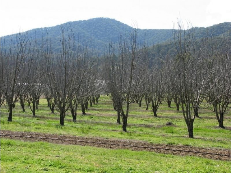 6300 Great Alpine Road, Eurobin VIC 3739