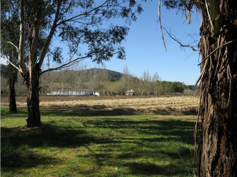 6300 Great Alpine Road, Eurobin VIC 3739