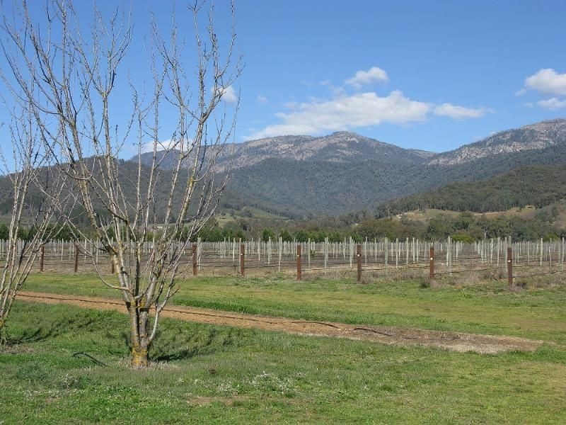 6300 Great Alpine Road, Eurobin VIC 3739