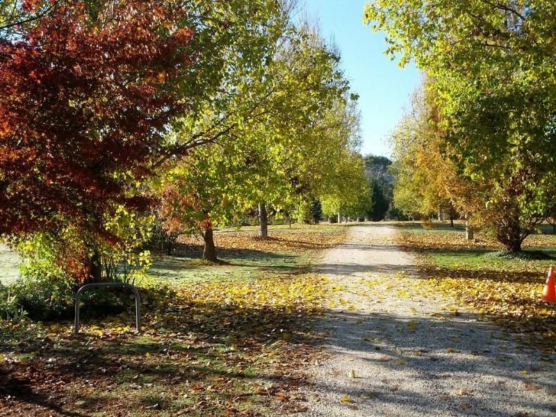 6300 Great Alpine Road, Eurobin VIC 3739