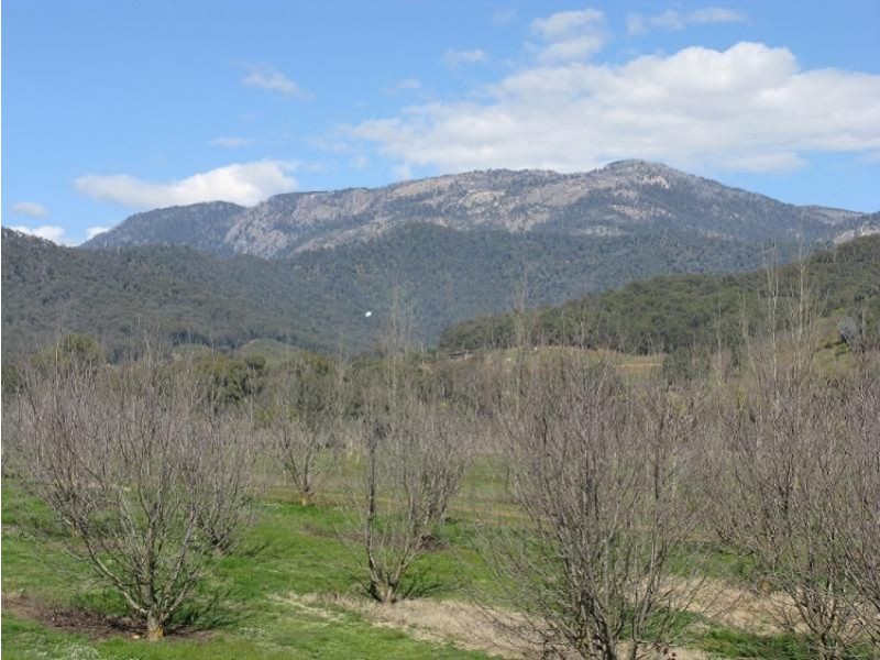 6300 Great Alpine Road, Eurobin VIC 3739