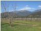 6300 Great Alpine Road, Eurobin VIC 3739