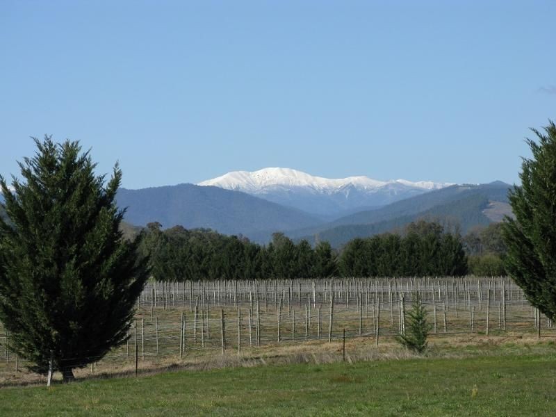 6300 Great Alpine Road, Eurobin VIC 3739