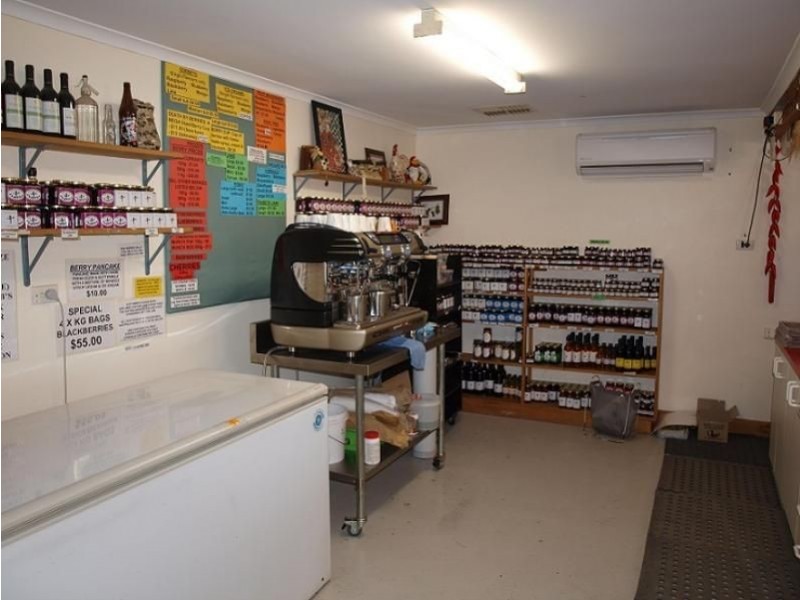 6300 Great Alpine Road, Eurobin VIC 3739