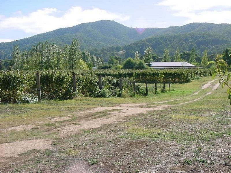 6300 Great Alpine Road, Eurobin VIC 3739