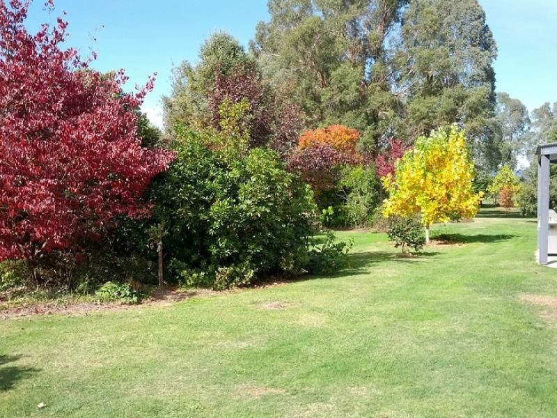 6300 Great Alpine Road, Eurobin VIC 3739