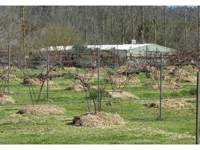 6300 Great Alpine Road, Eurobin VIC 3739