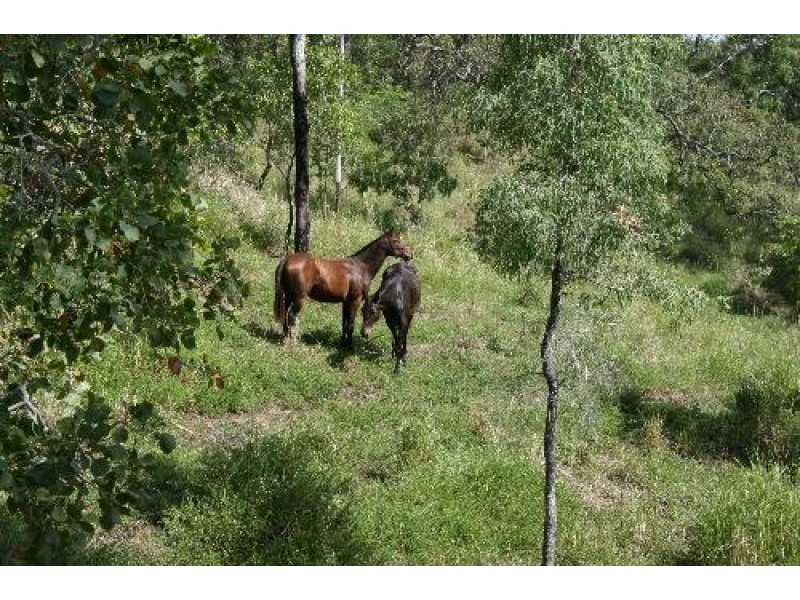 153 Sugar Loaf Road, Mirani QLD 4754