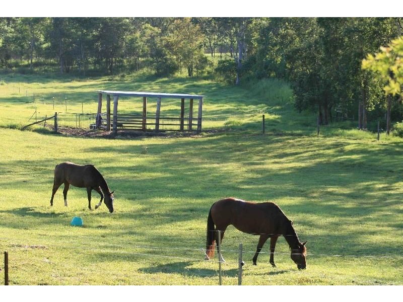 153 Sugar Loaf Road, Mirani QLD 4754