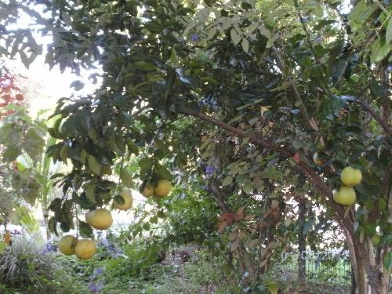 160 Loridan Drive, Brinsmead QLD 4870