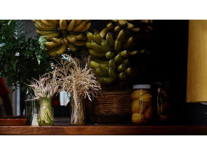 5 Church Street, Bellingen NSW 2454