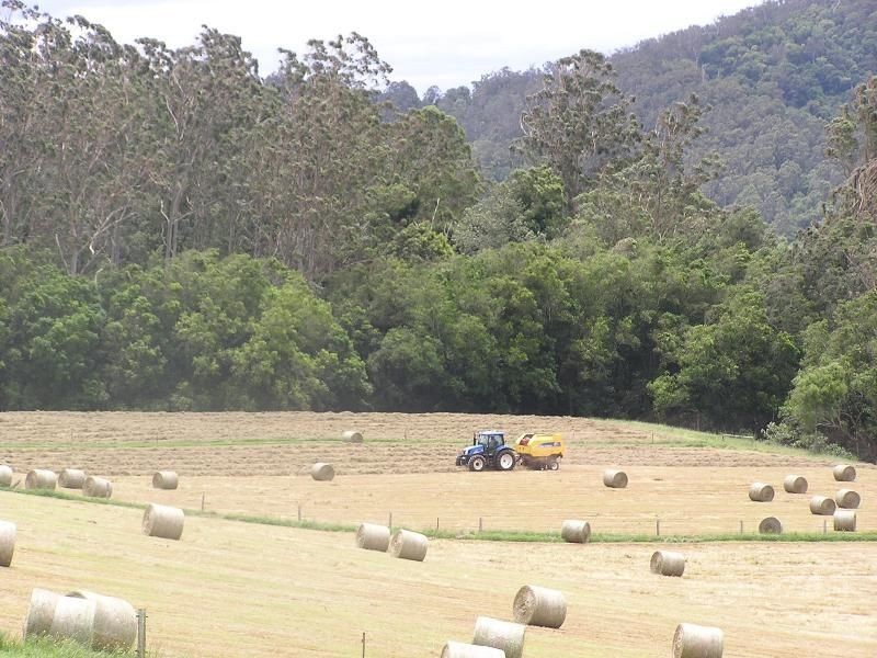 Hannam Vale NSW 2443