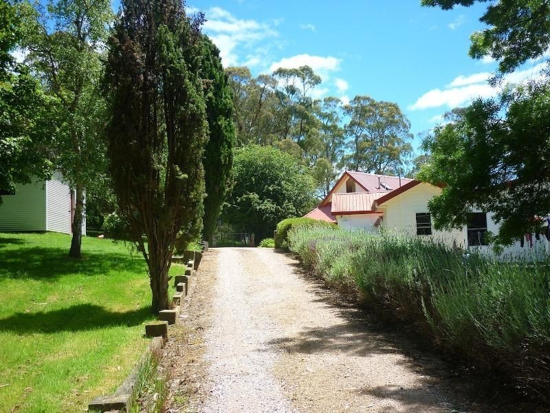 56 Henslowe, Tarleton TAS 7310