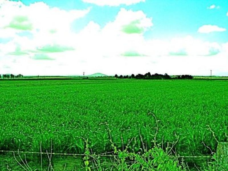 Lynford QLD 4342