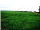 Lynford QLD 4342