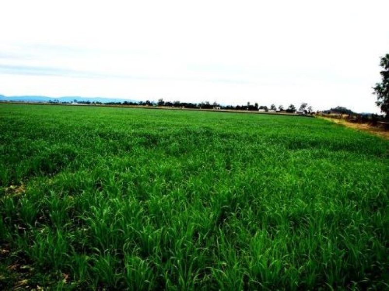 Lynford QLD 4342