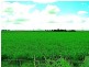 Lynford QLD 4342