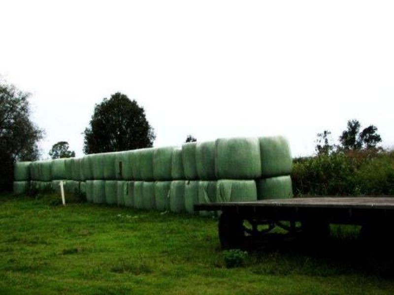 Lynford QLD 4342