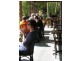 Murwillumbah NSW 2484