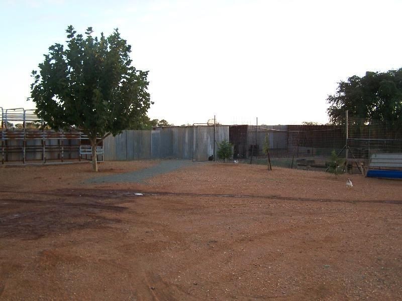 Tottenham NSW 2873