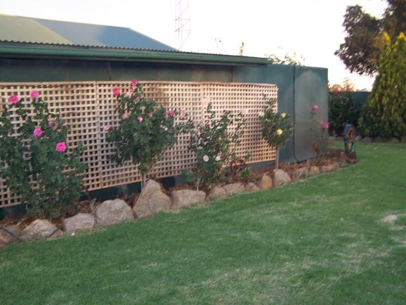 Tottenham NSW 2873