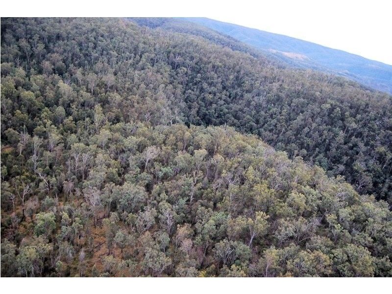 Ravensbourne QLD 4352