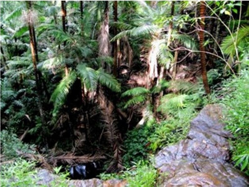 Lot 4 Seventeen Mile Road, Ravensbourne QLD 4352