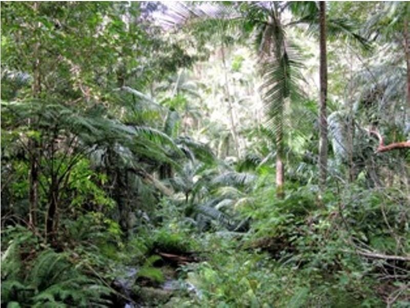 Lot 4 Seventeen Mile Road, Ravensbourne QLD 4352