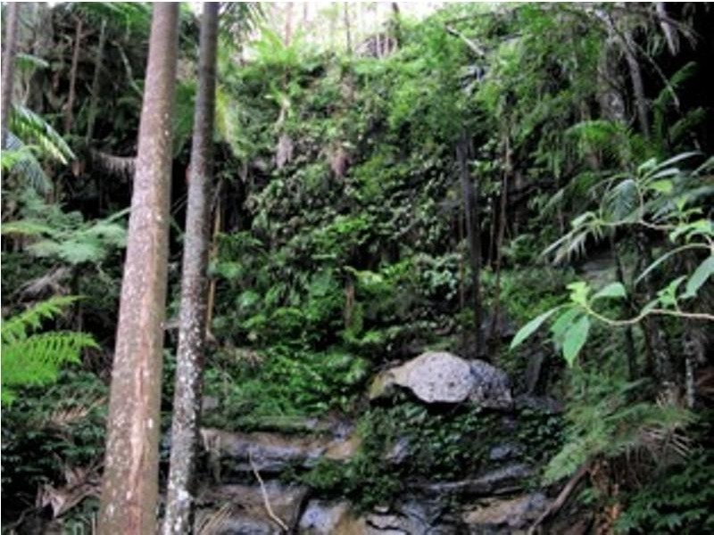 Lot 4 Seventeen Mile Road, Ravensbourne QLD 4352