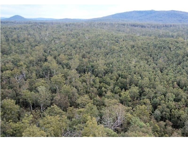 Lot 2 Palmtree Rd, Ravensbourne QLD 4352