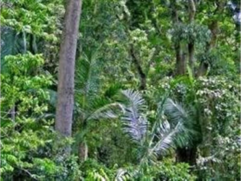 Lot 35 Weller Road, Ravensbourne QLD 4352