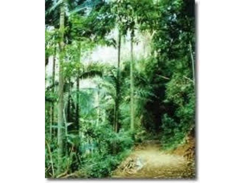 Lot 35 Weller Road, Ravensbourne QLD 4352