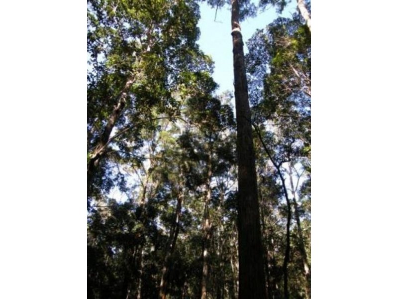 Lot 1 Sunday Creek Road, Kilcoy QLD 4515