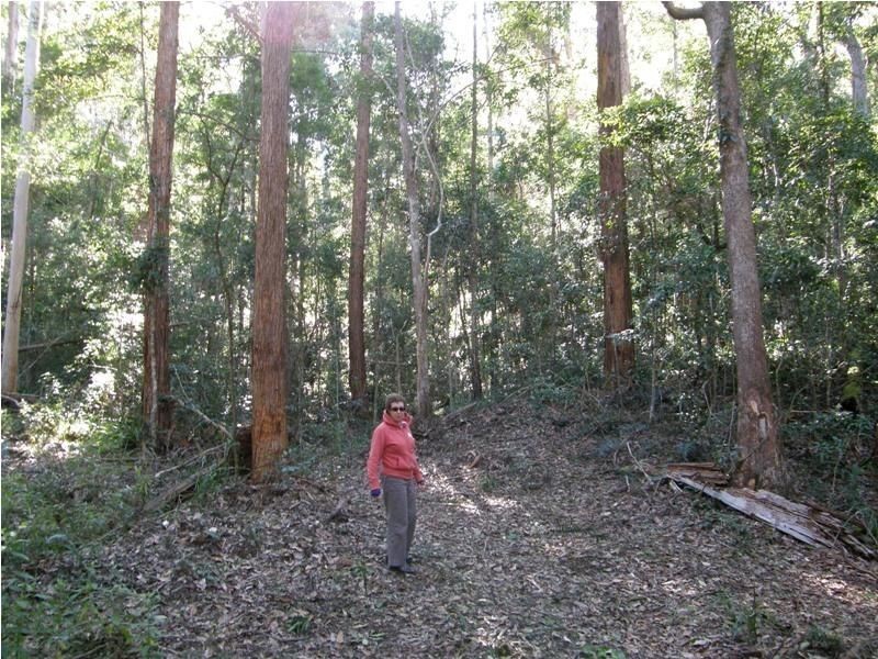 Lot 1 Sunday Creek Road, Kilcoy QLD 4515