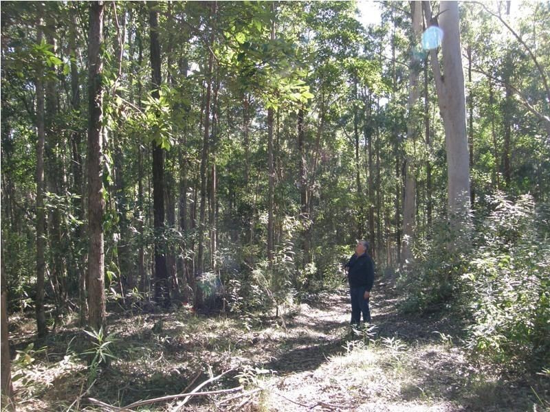 Lot 1 Sunday Creek Road, Kilcoy QLD 4515