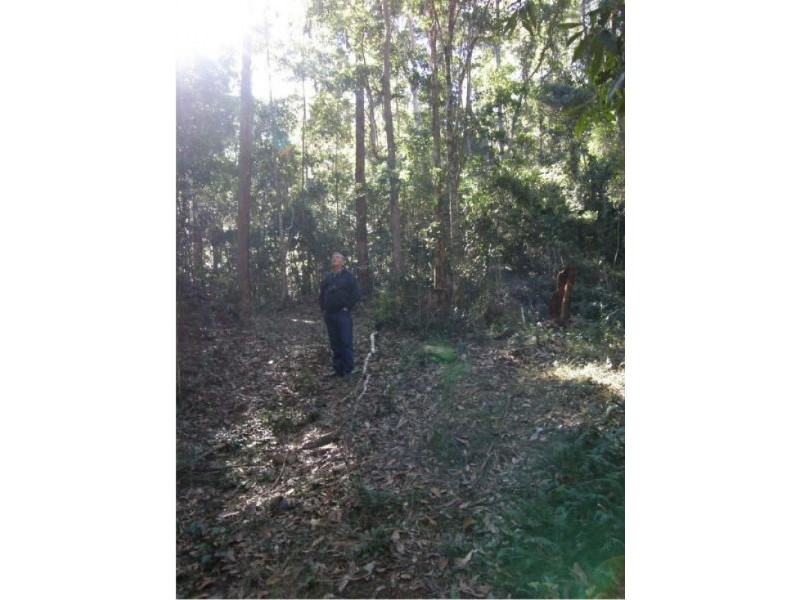 Lot 1 Sunday Creek Road, Kilcoy QLD 4515