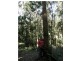 Lot 1 Sunday Creek Road, Kilcoy QLD 4515