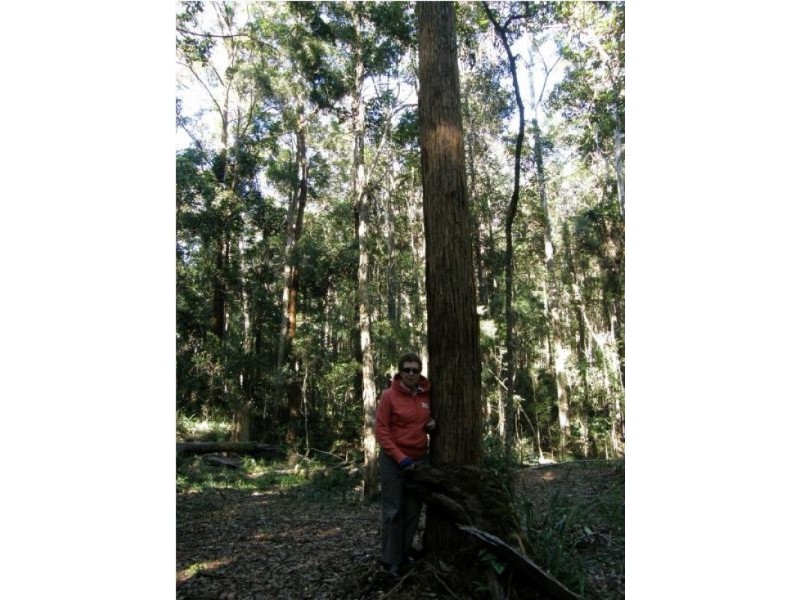 Lot 1 Sunday Creek Road, Kilcoy QLD 4515