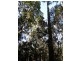 Lot 1 Sunday Creek Road, Kilcoy QLD 4515