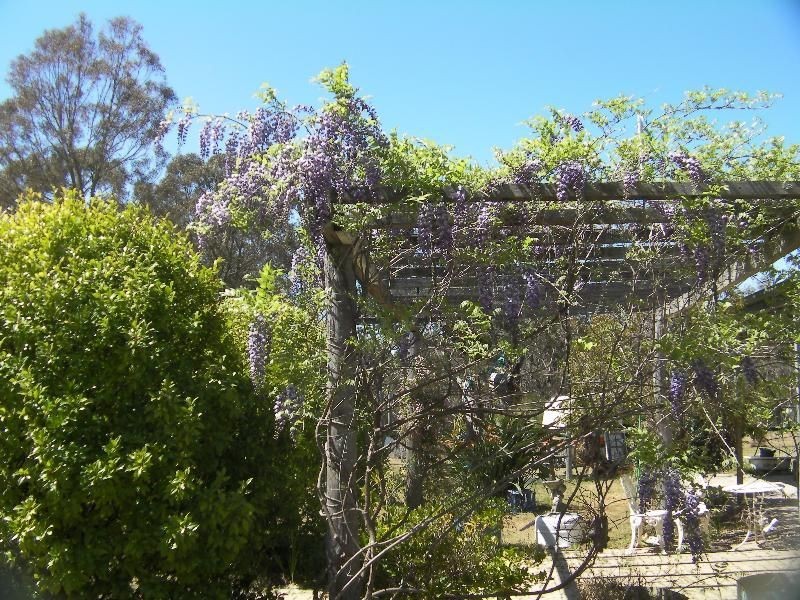 50 Woods Rd, Elbow Valley QLD 4370