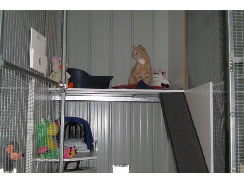 4570 Princes Highway, Birregurra VIC 3242