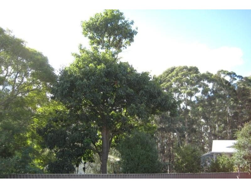 Margaret River WA 6285