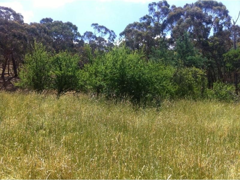 21a Goldfields Road, Metcalfe VIC 3448