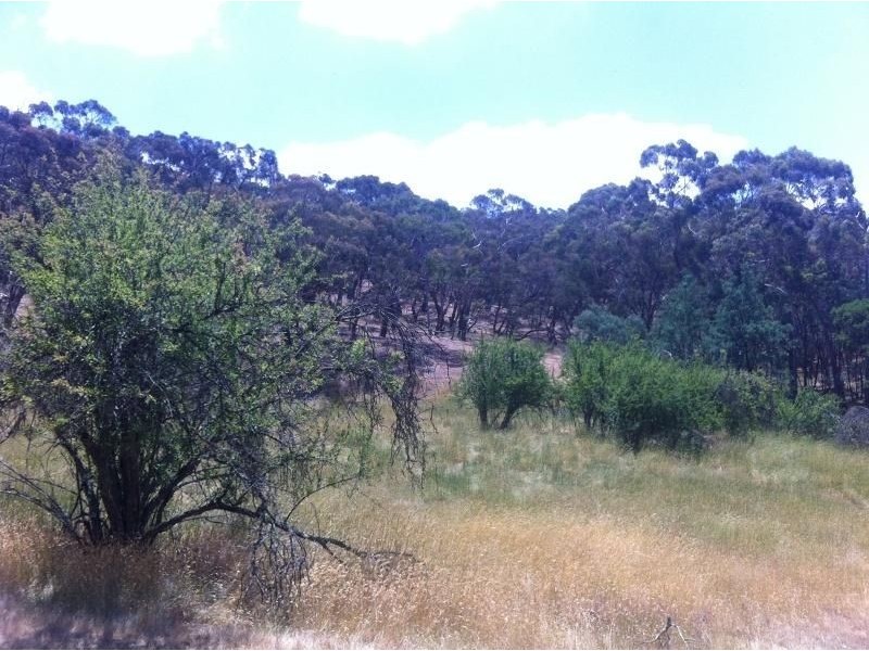 21a Goldfields Road, Metcalfe VIC 3448