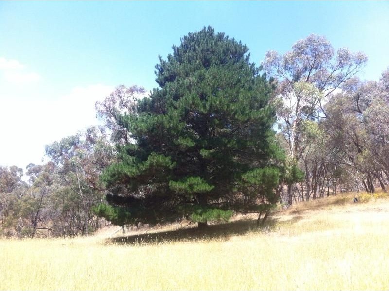 21a Goldfields Road, Metcalfe VIC 3448