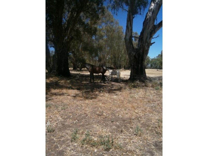 342 Pickering Lane, Speewa VIC 3585