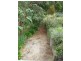 975 Darlimurla Rd, Boolarra VIC 3870