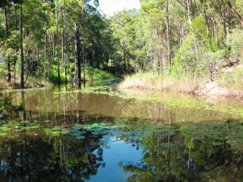 Cedar Creek QLD 4207
